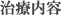 治療内容